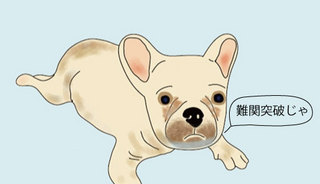 bulu.jpg