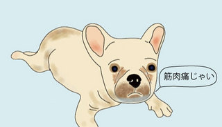 bulu2.jpg